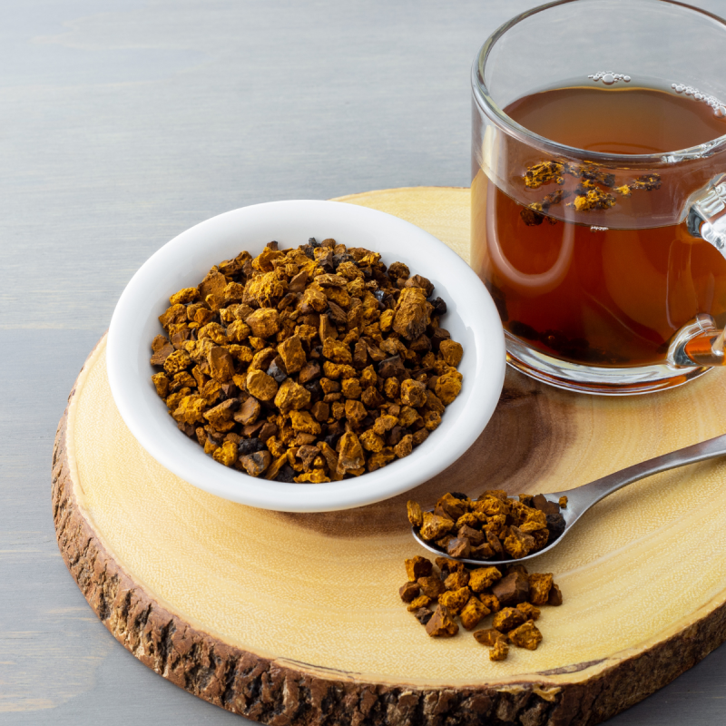 Chaga Mushroom