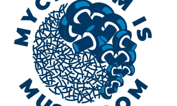 In the past few years, there has been much discussion in the supplements and nutraceuticals industry about which part of a species of medicinal fungi provides the best nutritional and medicinal value. Is it the mushroom fruit bodies, or the mycelium?&nbsp; Dennis Desjardin, PhD, Professor Emeritus at San Francisco State University and Chief Mycologist at [&hellip;]
